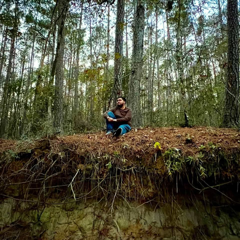 Editorial forest frame